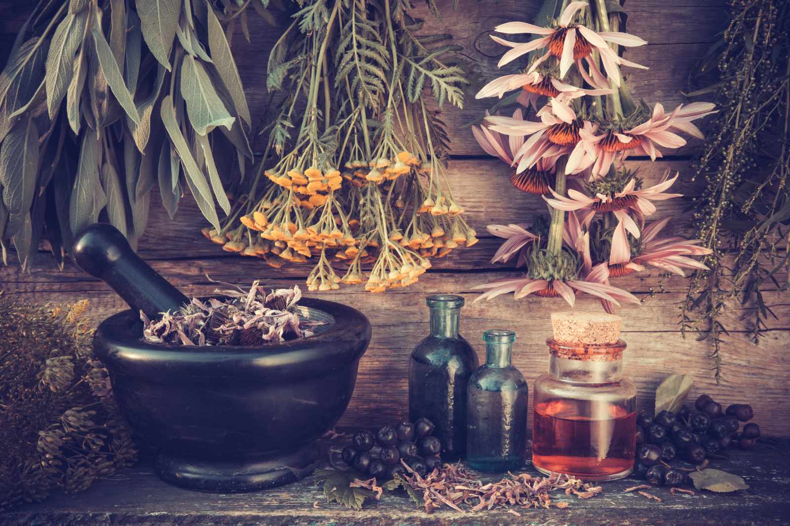 Massage In Durango - Herbal Remedies - Massage In Durango